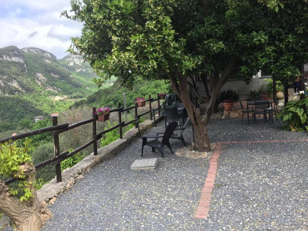 Agriturismo I Lamoi 피날레리구레 외부 사진